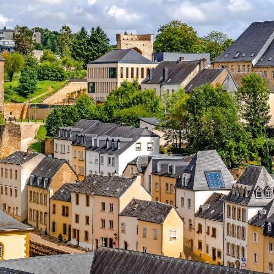 Des arbres pour rafraîchir les villes ?