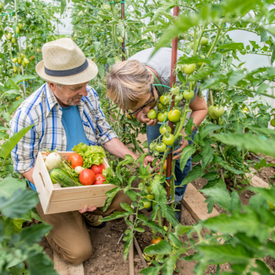 Les nouvelles pratiques des jardiniers