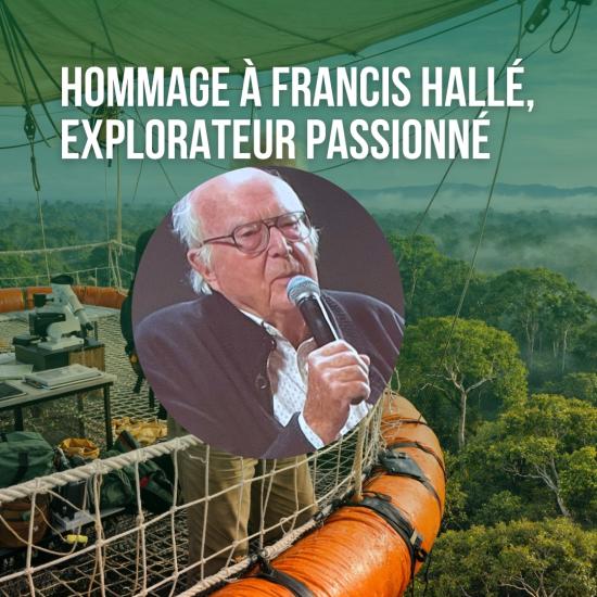 Hommage à Francis Hallé, explorateur passionné du vivant