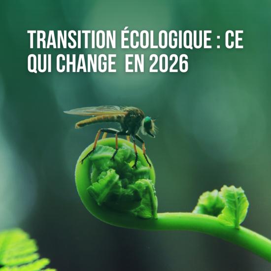 Transition_ecologique