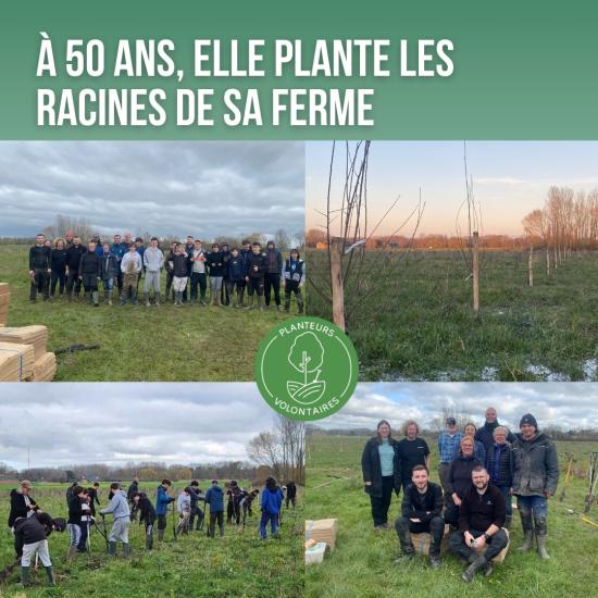 elle plantes les racines de sa ferme