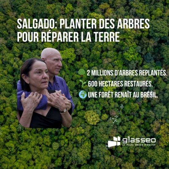 Salgado planter des arbres pour réparer la terre
