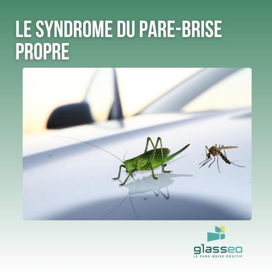 Le syndrome du pare-brise propre