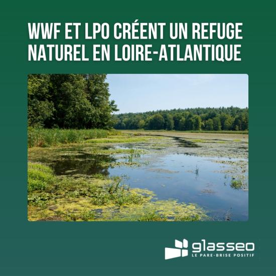 WWF et LPO créent un refuge naturel en Loire-Atlantique