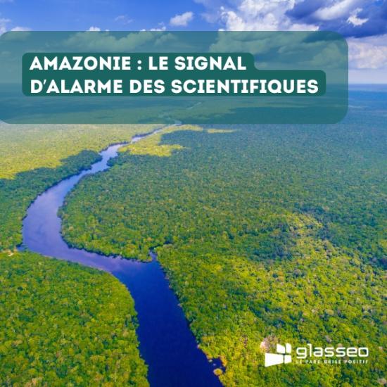AMAZONIE : LE SIGNAL d’alarme des scientifiques