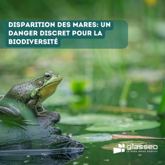 Disparition des mares un danger discret pour la biodiversité