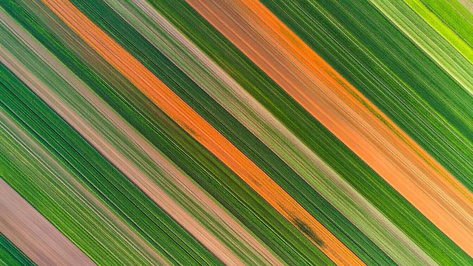 Photo agriculture_article_climat_GLASSEO